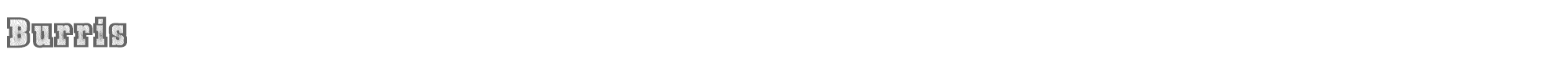 Burris Burris.ttf font preview